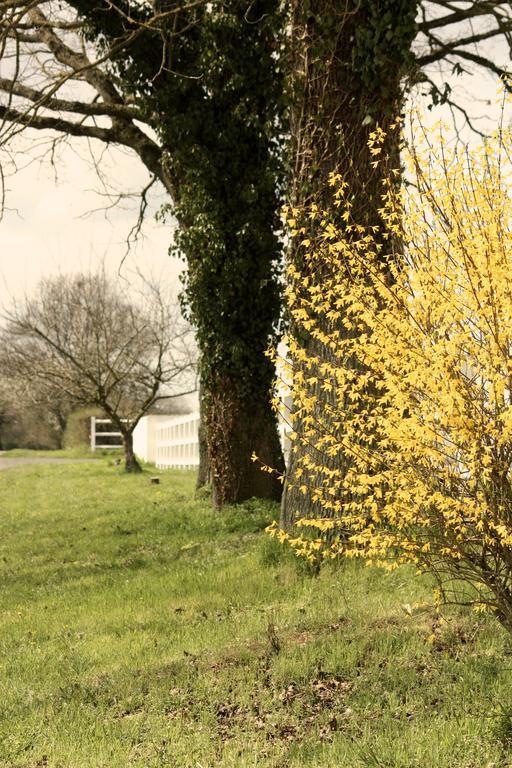 Le Haras Du Favry Palinges Exterior foto